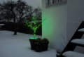 Lyskæde Basis 100 LED grøn 9,9 meter